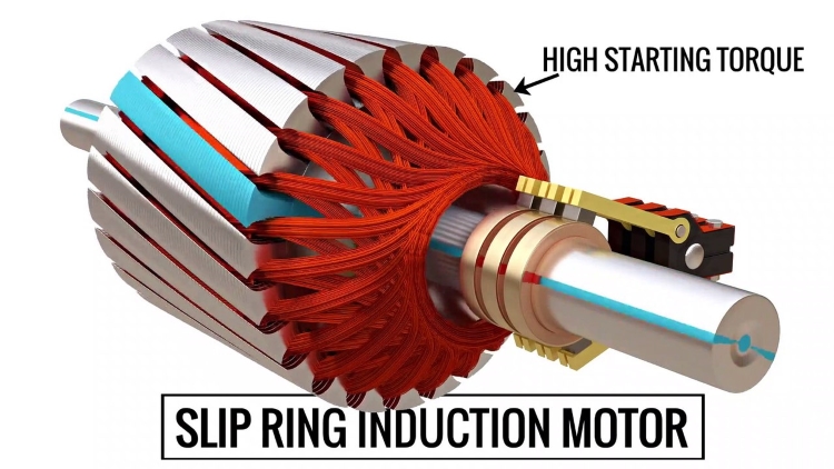 Difference Between Slip Ring & Squirrel Cage Induction Motor with  Comparison Chart - Circuit Globe